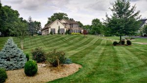 residential property with landscaping and mowing stripes