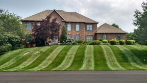 Lawn mowing stripes in front of residential property