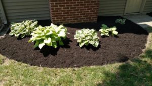 New mulch bed and edging installation